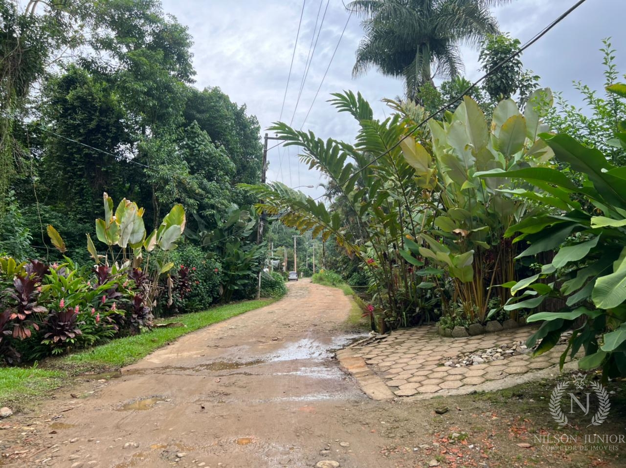 Terreno de 1000 M² a Venda em Ubatuba Sp Itamambuca